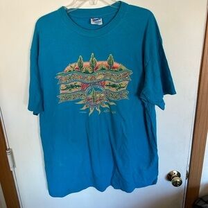 Vintage Hames XL 1993 graphic tee single stitch Arizona shirt